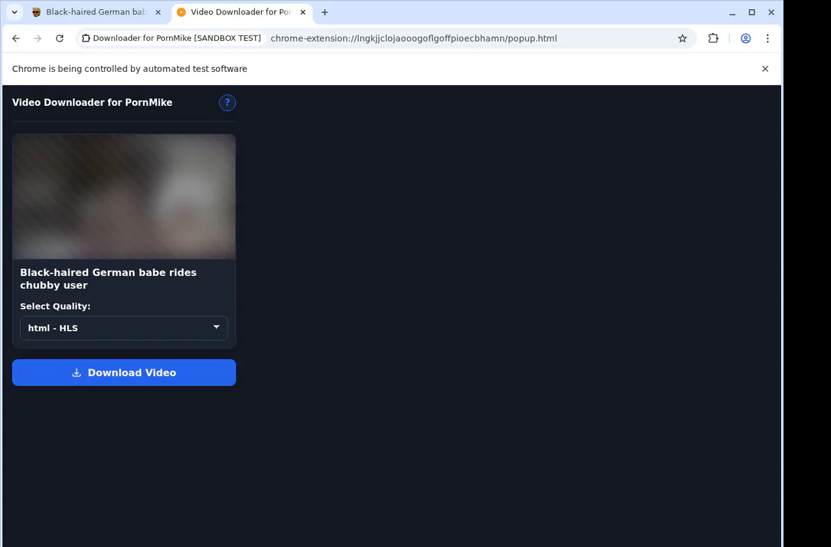 Pornmike Video Downloader browser extension screenshot 3